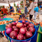 FRESHFARM Mount Vernon Triangle Farmstand Opens May 7 with Spring Fest Event