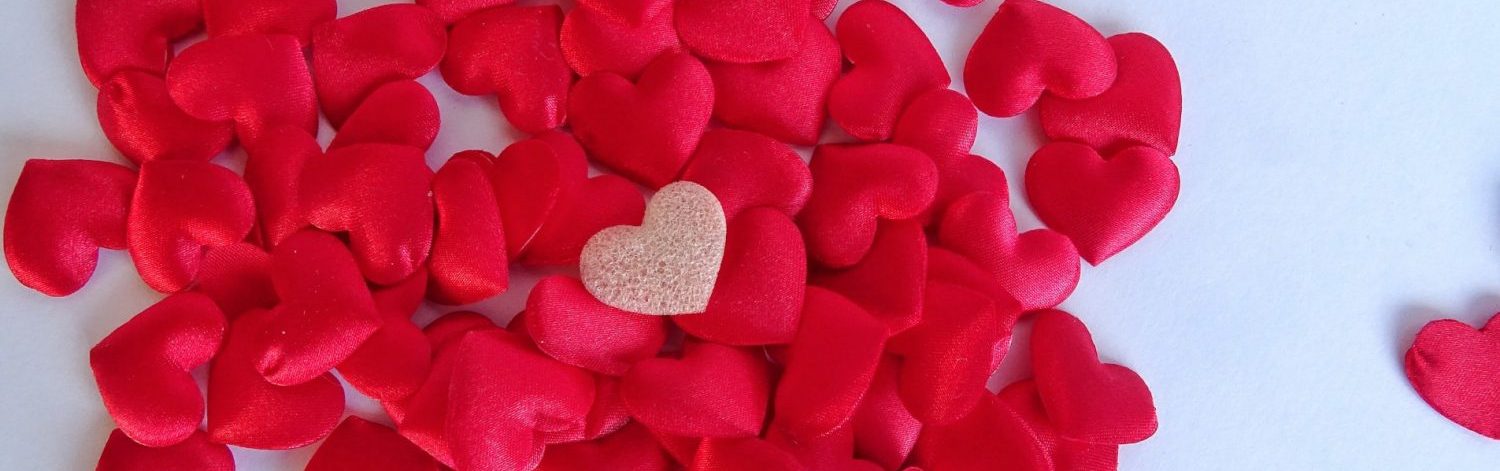 vdaypic