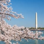 Finally, Your Chance to Share Your Thoughts on DC Tourists Has Come: Take Destination DC’s “Tourism Perception Survey”