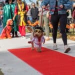 “Bark” Your Calendars: Fall Fun Day Returns To Milian Park Saturday, October 24!