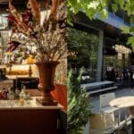 Time Out Features Cucina Morini and 2fifty Texas BBQ in “The Best Restaurants in Washington D.C. Right Now”