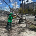 MVT CID Clean Team Snaps Into Action!